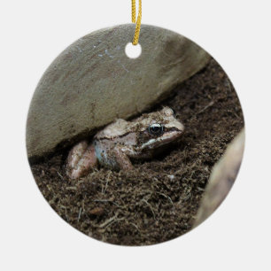 Adorno De Cerámica Rana sucia