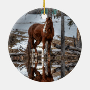 Adorno De Cerámica Rancho de castaño y reflexión de estanques