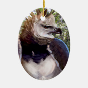 Adorno De Cerámica "Raptor"