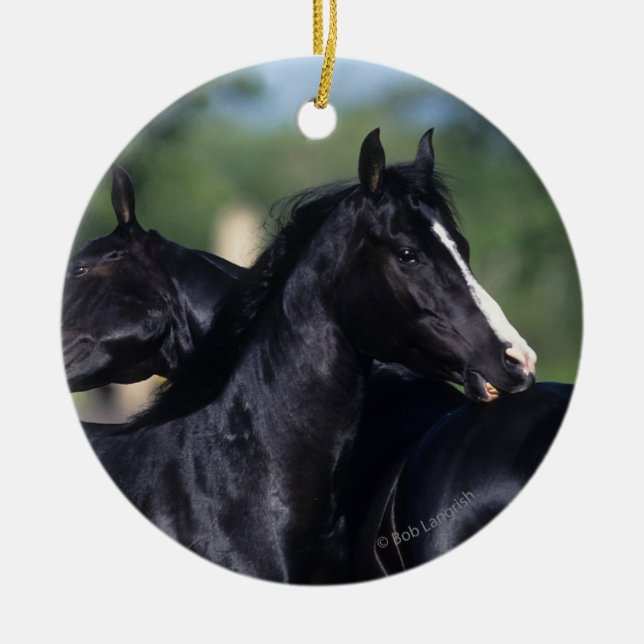 Adorno De Cerámica Rasguño árabe del caballo (Frente)