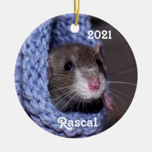 Adorno De Cerámica Rata personalizada de Mascota de bebé (Frente)