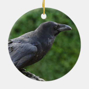 Adorno De Cerámica Raven del Norte