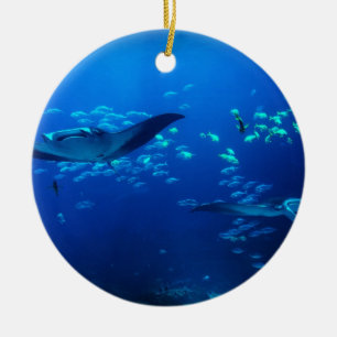 Adorno De Cerámica Rayos de Manta