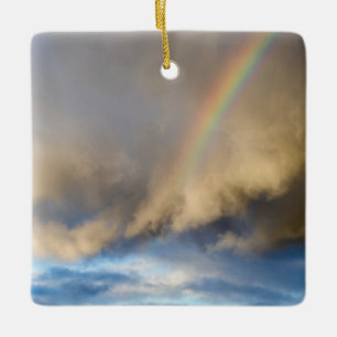 Adorno De Cerámica rebelión arco iris
