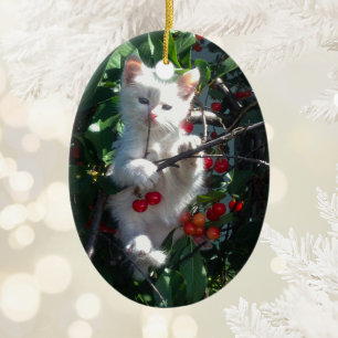 Adorno De Cerámica Recuerdo de Gatito Foto de Dos Lados