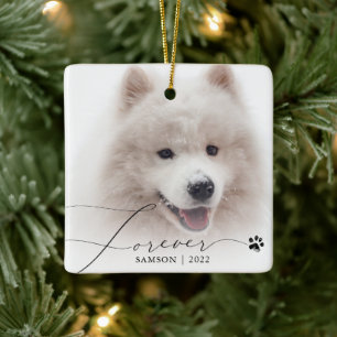 Adorno De Cerámica Recuerdo de Mascota Huella de Perro con Foto Per