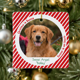 Adorno De Cerámica Recuerdo de mascota moderna Foto de perro Navidad