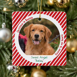 Adorno De Cerámica Recuerdo de mascota moderna Foto de perro Navidad