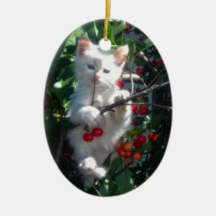 Adorno De Cerámica Recuerdo Gato Familiar Foto De Un Lado