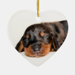 Adorno De Cerámica Recuerdo Recién nacido-Lovebugdoxies del perrito