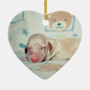 Adorno De Cerámica Recuerdo Recién nacido-Lovebugdoxies del perrito