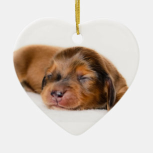 Adorno De Cerámica Recuerdo Recién nacido-Lovebugdoxies del perrito