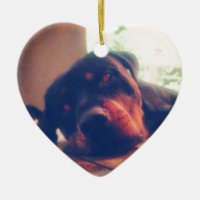 Recuerdos de Rottweiler