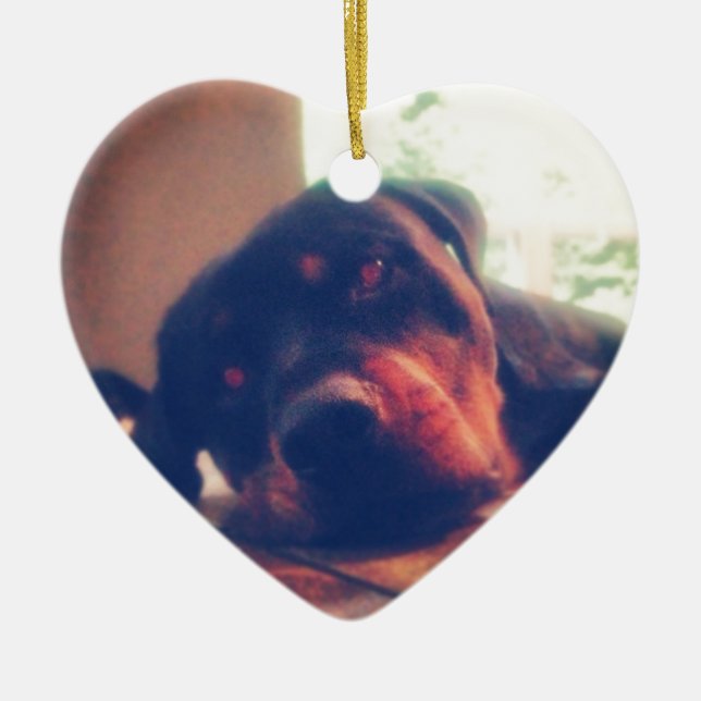 Adorno De Cerámica Recuerdos de Rottweiler (Frente)
