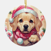 Recuperador de labrador con gorra pastel y bufanda