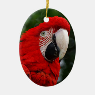 Adorno De Cerámica Red Macaw
