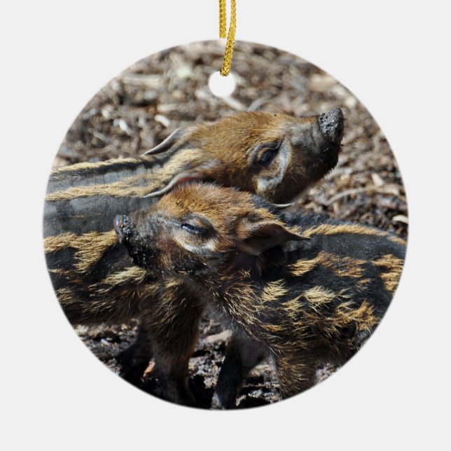 Adorno De Cerámica Red River Hog Ornament 2011 (Frente)