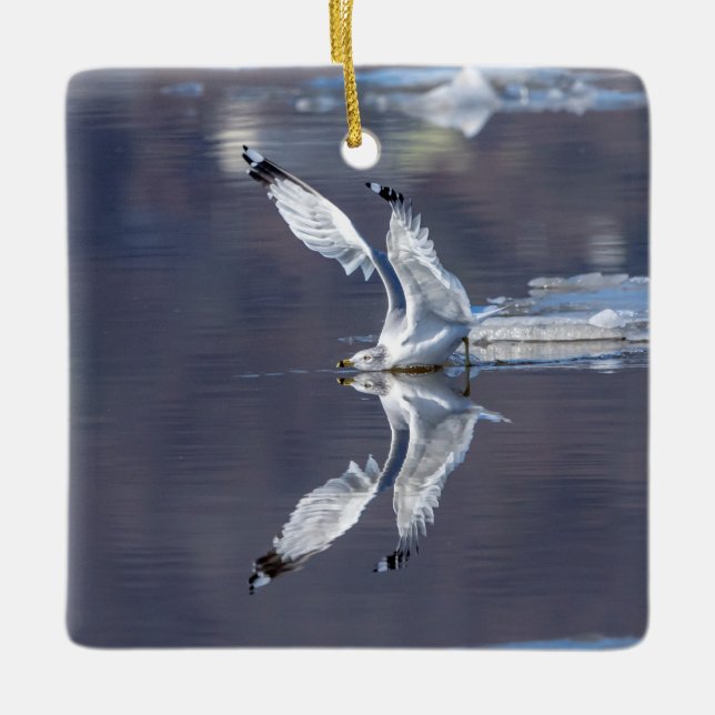 Adorno De Cerámica Reflexiones sobre Gull (Anverso)