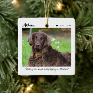 Adorno De Cerámica Regalo conmemorativo para mascotas En memoria am