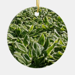 Adorno De Cerámica Regalo de padre de la planta del día de los verdes
