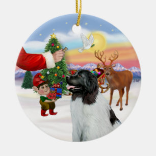Adorno De Cerámica Regalo para un Landseer Newfoundland