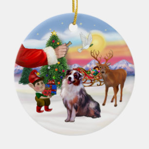Adorno De Cerámica Regalo para un pastor australiano (merle)