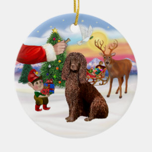 Adorno De Cerámica Regalo para un perro de agua irlandés
