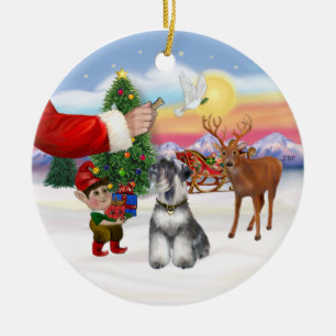 Adorno De Cerámica Regalo para un Schnauzer (orejas naturales)