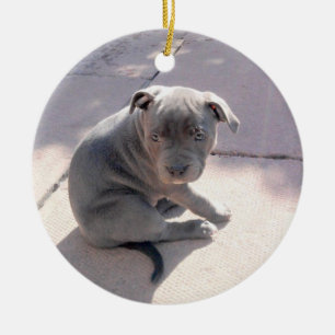 Adorno De Cerámica Regalo perfecto para el lo de Staffordshire bull