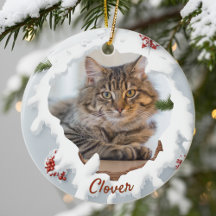 Regalo Personalizado de Navidad para Gatos 3D para
