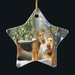Adorno De Cerámica Regalos de Airedale Terrier Winter Day<br><div class="desc">Los Mascotas de Airedale Terrier en un día de invierno hacen un gran regalo para cualquiera que tenga pasión por la raza de perro... .mugs,  tarjetas,  ropa,  y muchas ideas de regalo para ver.</div>