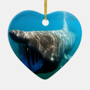 Adorno De Cerámica Regalos de destino oceánico tropical de los peces 