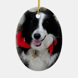 Adorno De Cerámica Regalos del border collie