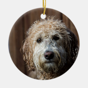Adorno De Cerámica Regalos impresionantes del perrito de Labradoodle