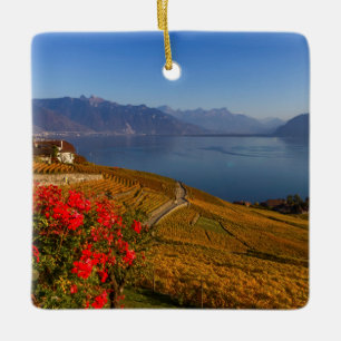 Adorno De Cerámica Región de Lavaux, Vaud, Suiza