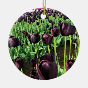 Adorno De Cerámica Reina de los tulipanes de la noche, Oregón