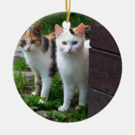 Adorno De Cerámica Reproducción de gatos