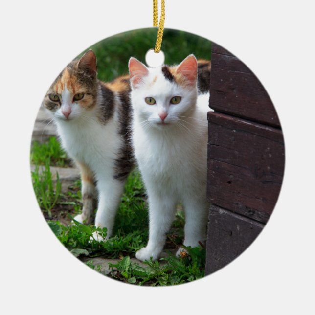 Adorno De Cerámica Reproducción de gatos (Frente)