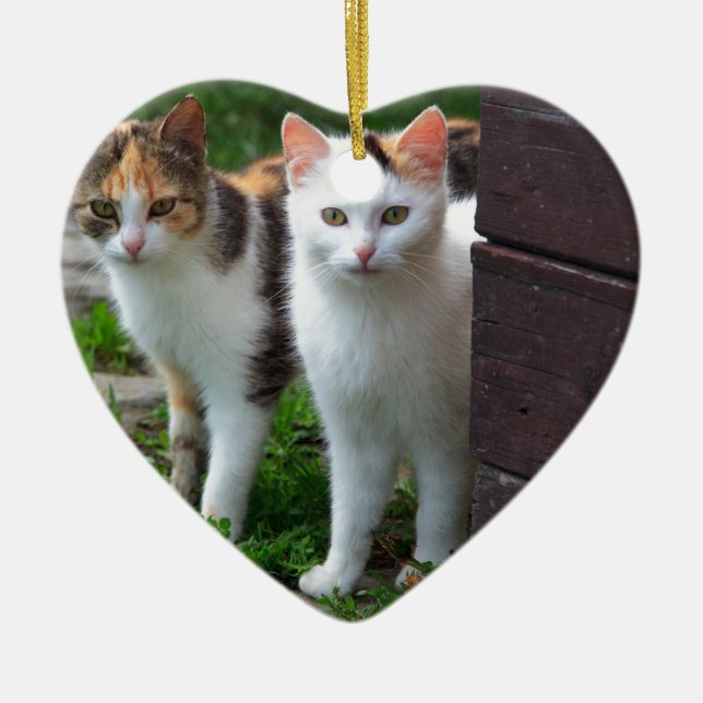 Adorno De Cerámica Reproducción de gatos (Frente)