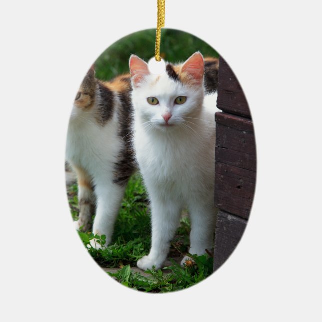 Adorno De Cerámica Reproducción de gatos (Frente)