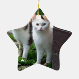 Adorno De Cerámica Reproducción de gatos