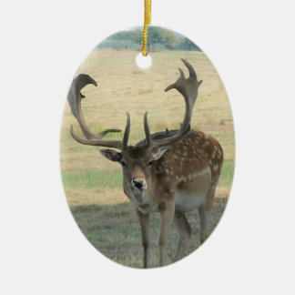 Adorno De Cerámica Resto del mundo