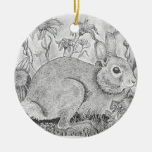 Restos de conejo entre flores silvestres