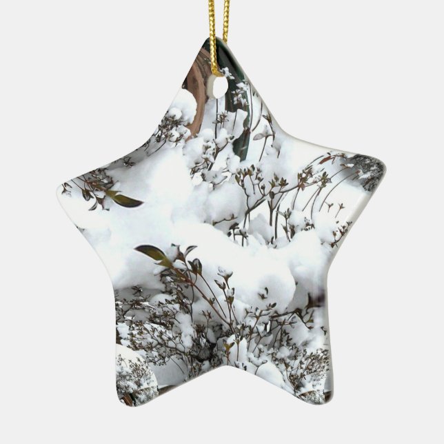 Adorno De Cerámica Resumen de nieve (Izquierda)