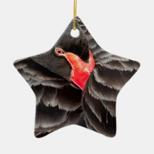 Adorno De Cerámica Resurgimiento de cisne negro