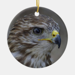 Adorno De Cerámica Retrato de Buzzard Frecuente