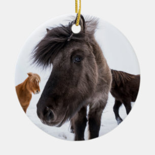 Adorno De Cerámica Retrato de caballo islandés, Islandia