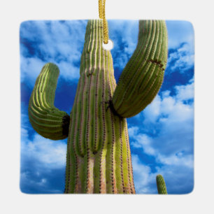 Adorno De Cerámica retrato de cactus Saguaro, Arizona