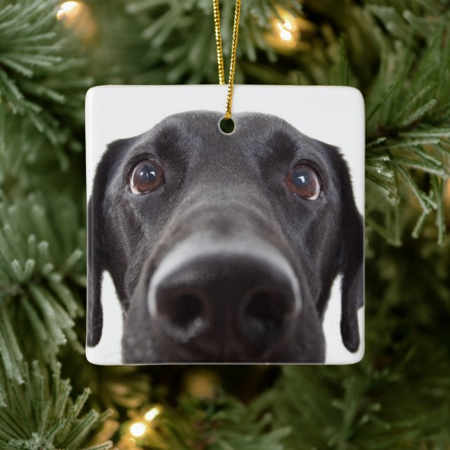 Adorno De Cerámica Retrato de cierre del labrador negro (Árbol)