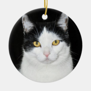 Adorno De Cerámica Retrato de gato negro y blanco